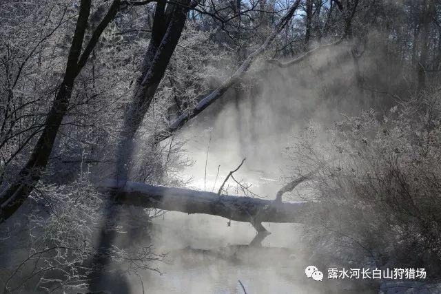 小球进黑洞