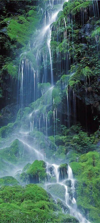 陈平原 | 博士生导师的责任与边界