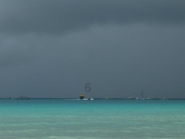 春雨直播app