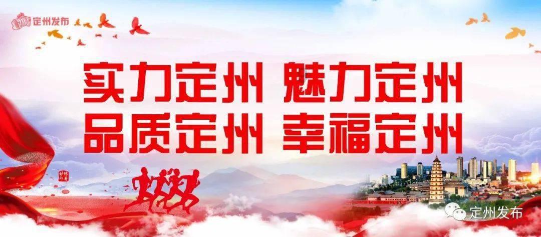生化危机：浣熊市行动