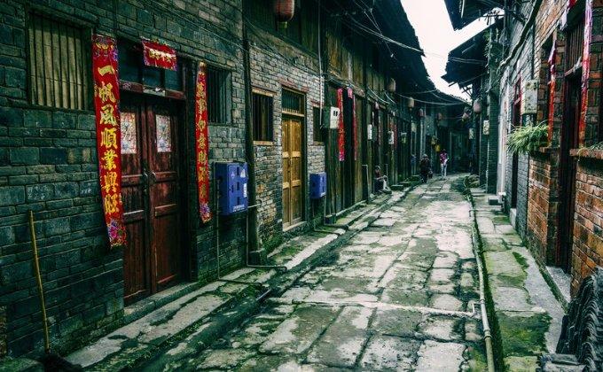 动物帮帮忙保卫家园
