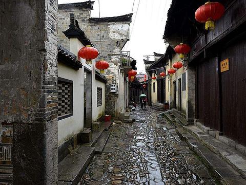 拯救红松鼠