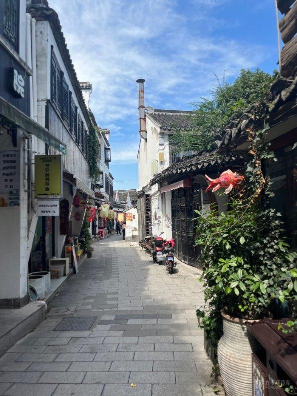 男子把“绿豆”装塑料瓶里，朋友们都嘲笑他，7天后却花钱来买！